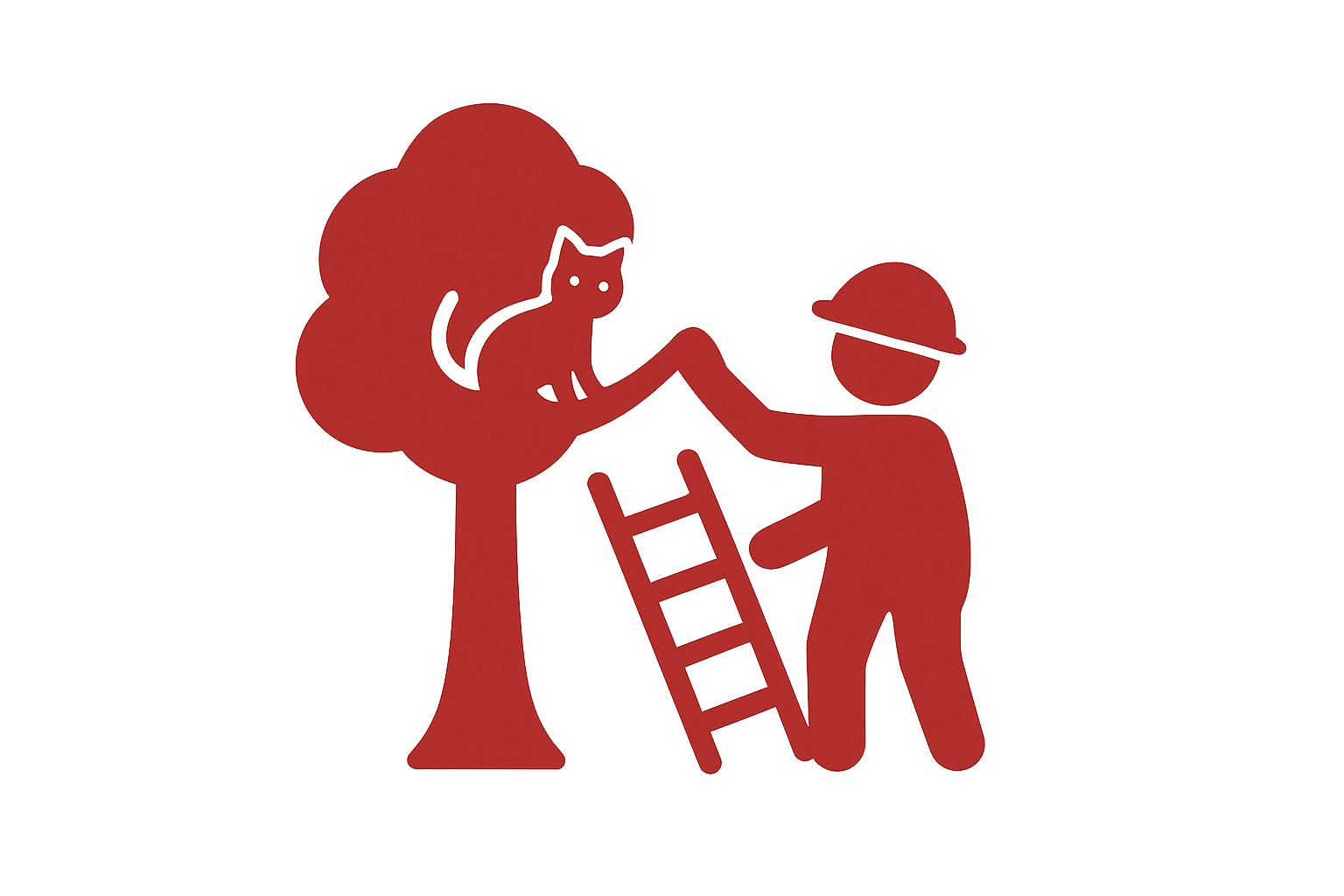 Opérations diverses